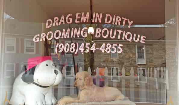 Custom Pet Grooming Window Lettering