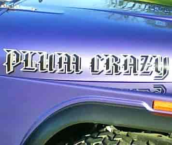 Vinyl Lettering on a Jeep