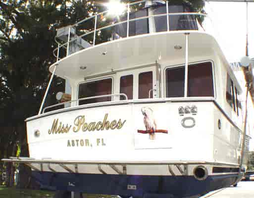 Custom lettering and graphic on a boat.