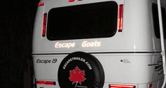 Reflective vinyl lettering