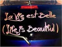 Customer Testimonial Picture