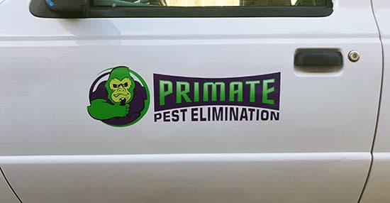 Custom Vinyl Decal For Work Truck