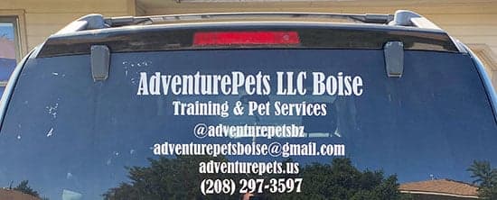 Custom Vinyl Vehicle Window Decal Custom Vinyl Vehicle Window Decal