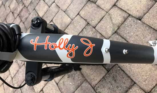Custom Bike Lettering Custom Bike Lettering