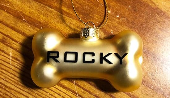 Custom Vinyl Lettering For Ornament