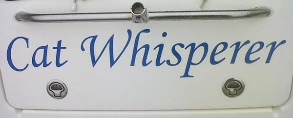Vinyl Boat Lettering Vinyl Boat Lettering