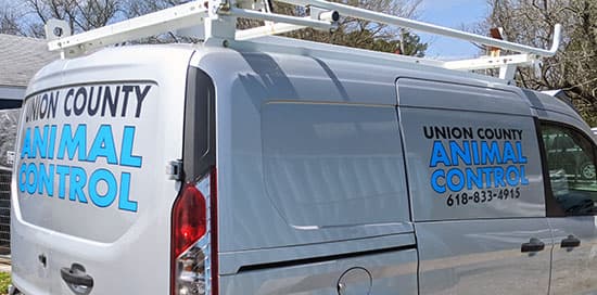 Custom Vinyl Vehickle Lettering