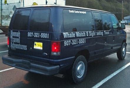 Van Lettering