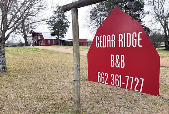 Custom Vinyl Sign Lettering