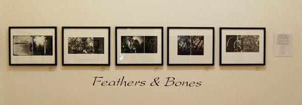 Art Exhibit Wall Decals Art Exhibit Wall Decals