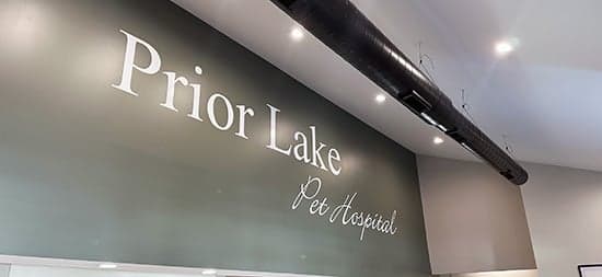 Custom Vinyl Lettering