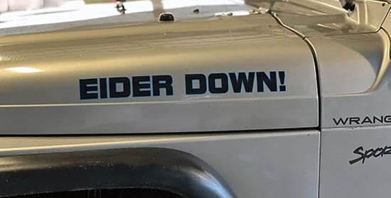 Custom Vinyl Jeep Lettering Custom Vinyl Jeep Lettering