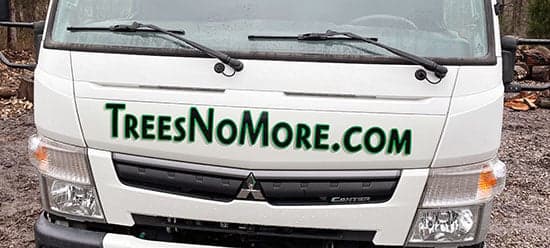 Custom Vinyl Vehicle Lettering Custom Vinyl Vehicle Lettering