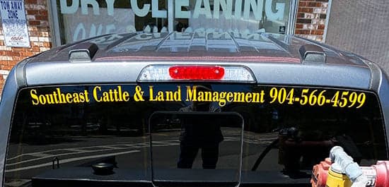 Cusotm Vinyl Vehicle Window Decal