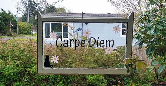 Custom Vinyl Lettering Custom Vinyl Lettering