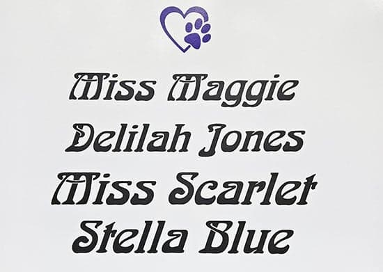 Custom Vinyl Lettering For Travel Trailer Custom Vinyl Lettering For Travel Trailer