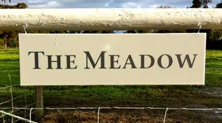 Vinyl Sign Lettering