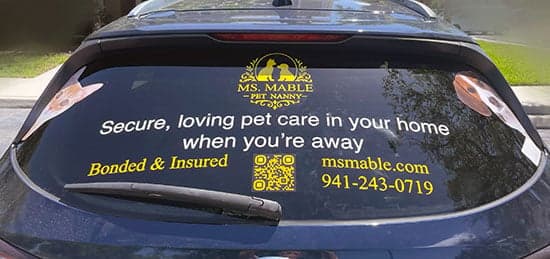 Custom Vinyl Car Window Decal Custom Vinyl Car Window Decal