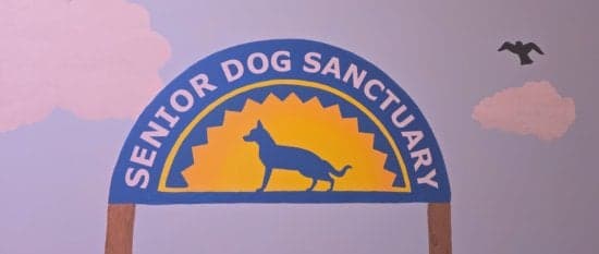 Lettering for a wall mural Lettering for a wall mural