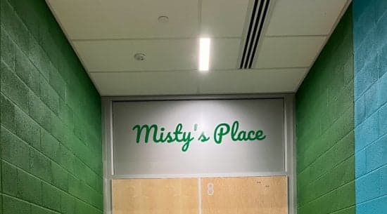 Custom Vinyl Lettering Custom Vinyl Lettering