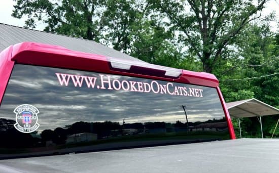 Custom Vinyl Truck Lettering