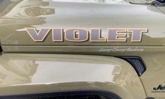 Custom Vinyl Vehicle Lettering