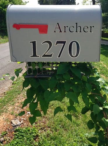 Vinyl Mailbox Letters