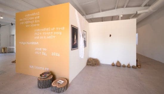 Custom Vinyl Wall Lettering