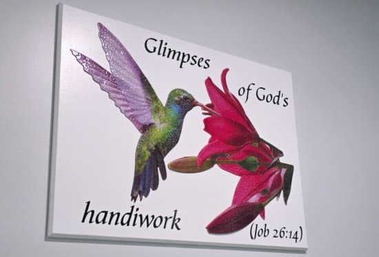 Custom Vinyl Lettering 