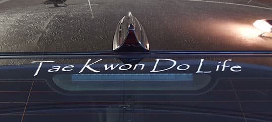 Custom Vinyl Lettering For Vehicle Window