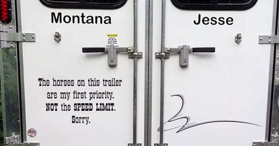 Custom Vinyl Decal For Horse Trailer