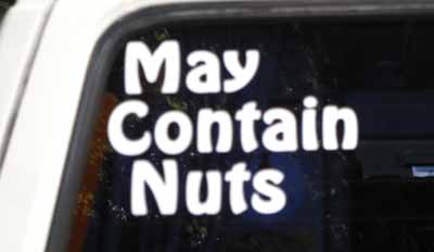 Vinyl Lettering on a Vehicle