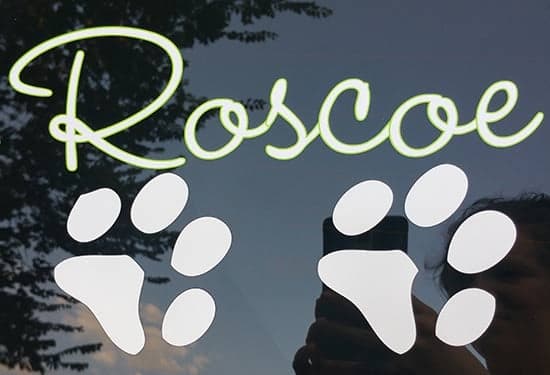 Custom Vinyl Decals For Vehicle Window