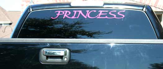 Custom Vinyl Lettering on a Vehicle Window