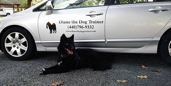 Custom Vinyl Decal For Car Custom Vinyl Decal For Car
