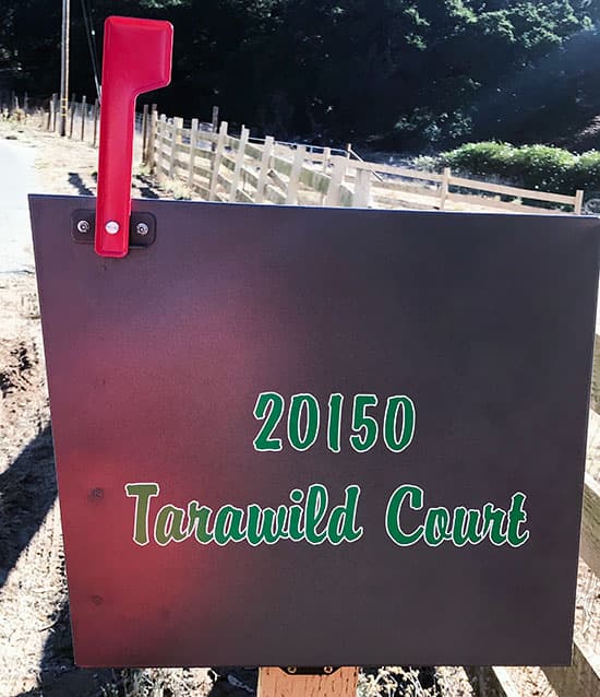 Custom Vinyl Letteirng For Mailbox Address