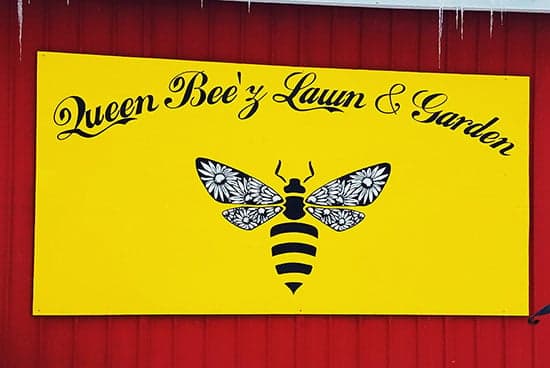 Custom Vinyl Logo For Sign