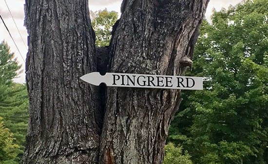 Custom Vinyl Lettering For Sign
