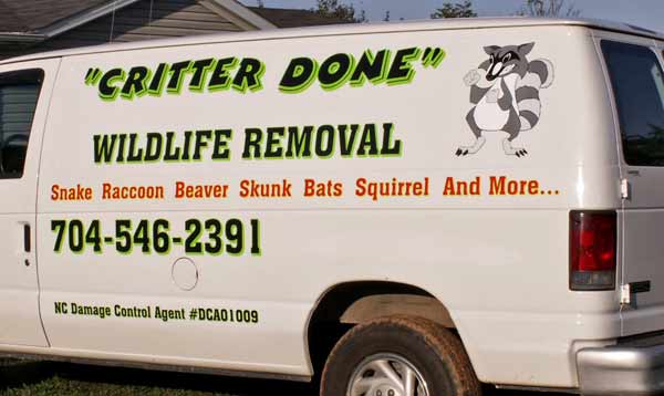 Custom lettering and graphics on a van Custom lettering and graphics on a van