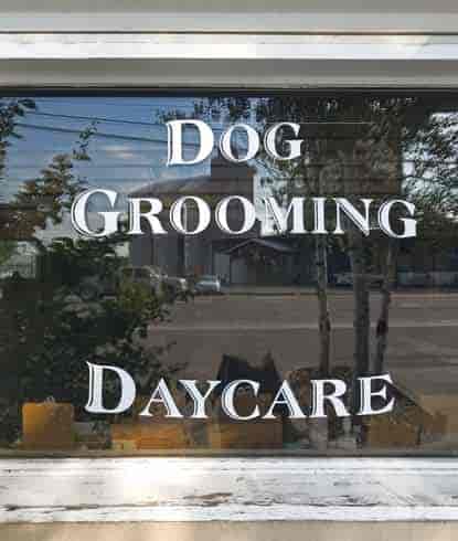 Storefront window lettering