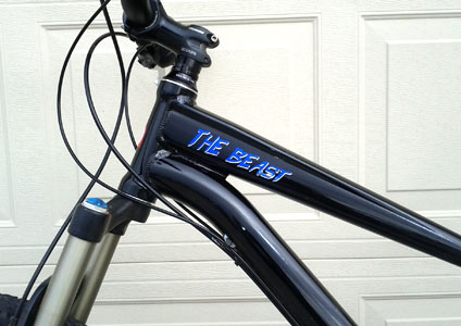 Custom decal on a bike Custom decal on a bike