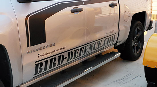 Custom Vinyl Vehicle Lettering Custom Vinyl Vehicle Lettering