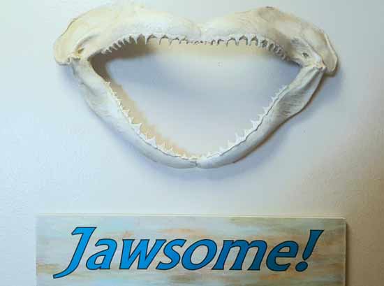 Custom Vinyl Sign Lettering Custom Vinyl Sign Lettering