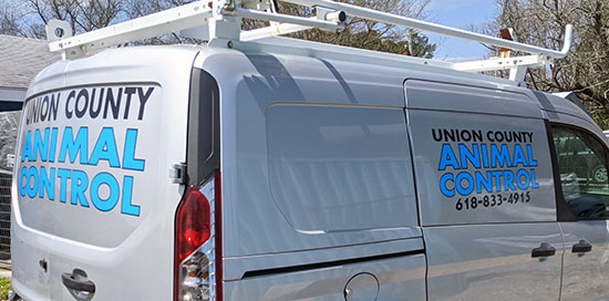 Submitted by: Tiffiny Dillow, Union County Animal Control Administrator Custom Vinyl Vehickle Lettering