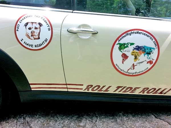 Vinyl Vehicle Decal Vinyl Vehicle Decal