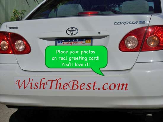 Lettering on a car Lettering on a car