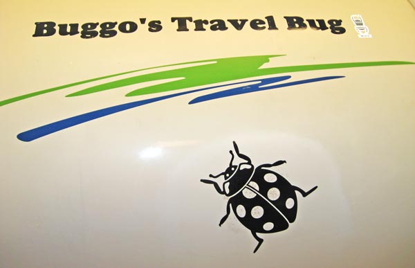 Custom Camper Vinyl Decals Custom Camper Vinyl Decals