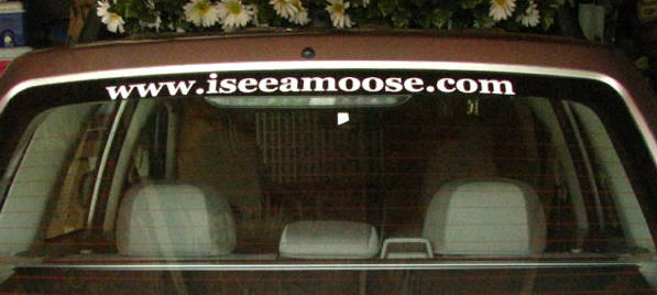 Vehicle Lettering Vehicle Lettering