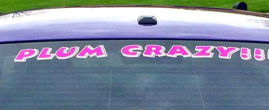 Custom Vinyl Car Lettering Custom Vinyl Car Lettering