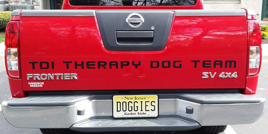 Custom Vinyl Vehicle Lettering Custom Vinyl Vehicle Lettering
